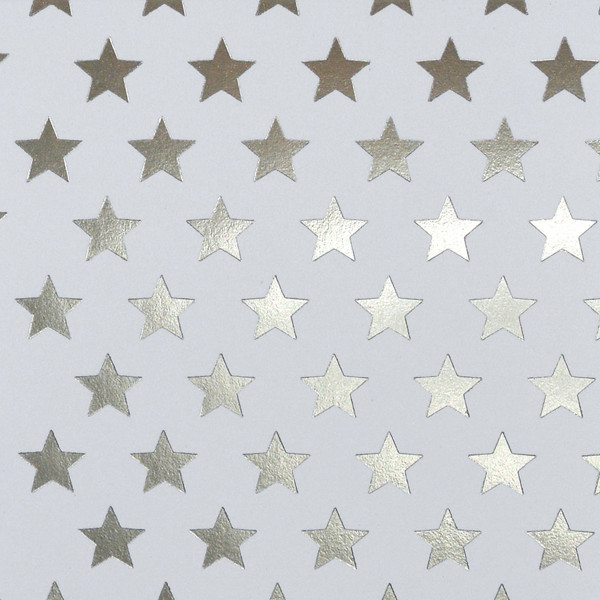 Bild von 6 Faltschachteln weiß mit silbernen Sternen