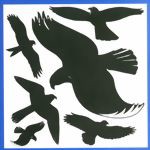Bild von Kunststofffolie "Warnvögel"
